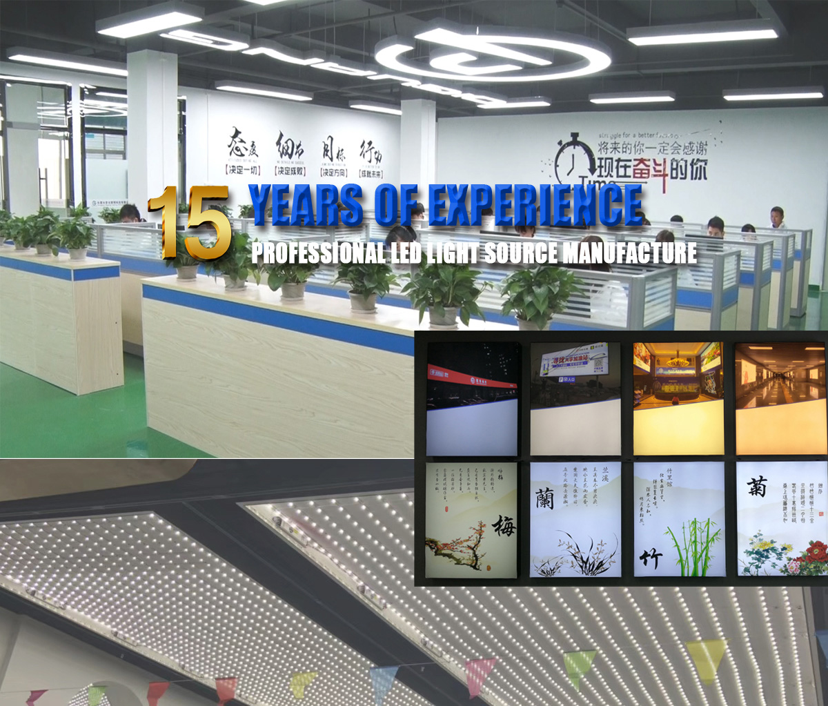 dgledlights.com-Dongguan Diguang Lighting Technology Co., Ltd.